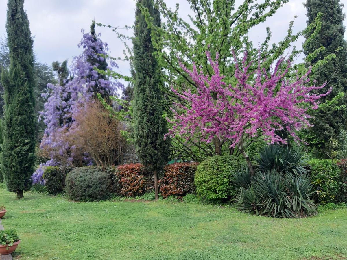 Il Fienile Del Colle Villa Pescia Eksteriør billede